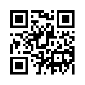 Themcguys.com QR code