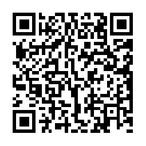 Theme217-animals-pets.myshopify.com QR code