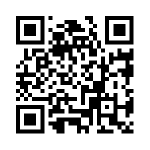 Themelock.online QR code