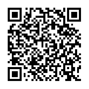 Themostinterestingcatintheworld.net QR code