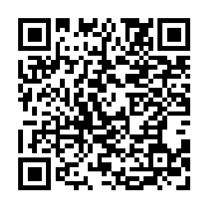 Thenationalciviliansecurityforce.net QR code