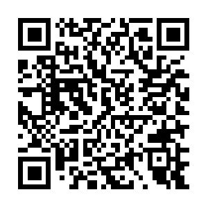 Thenightingaleinstituteworldwide.org QR code