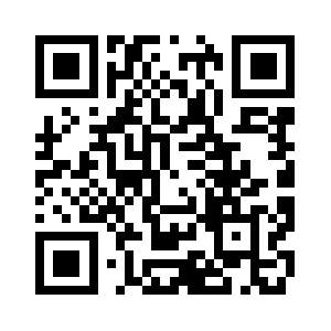 Theorie-leren.nl QR code