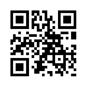 Theowl.info QR code