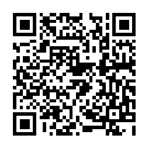 Theperfect-systems4upgradesforfree.pro QR code