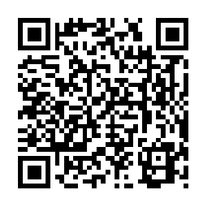 Theperfectrentalsvacationpackages.com QR code