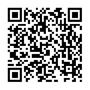 Thepowervisioncontemplationsreview.info QR code