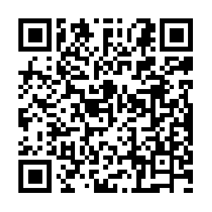 Theprenatalchiropracticpractice.com QR code