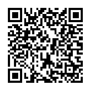 Theprofessionalcreditconsultants.com QR code