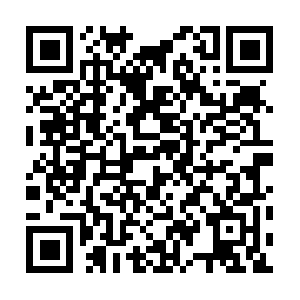 Theprofessionalpokersplayersmanual.com QR code