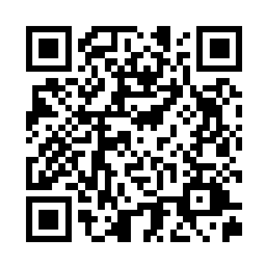 Thesavvytravelconnection.com QR code