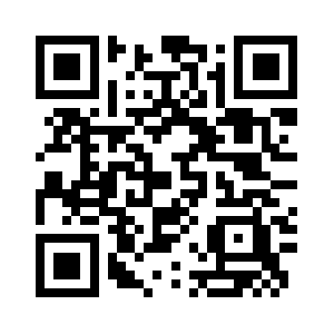 Theseointerview.com QR code