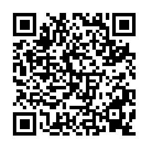 Thesilverfoxofinternetmarketing.com QR code