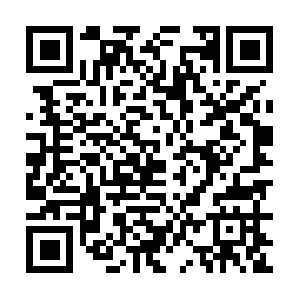 Thestewardfinancialresourcegroup.net QR code