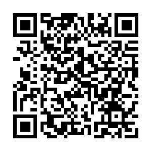 Theteachingprincipleofmedicalpeerreview.net QR code