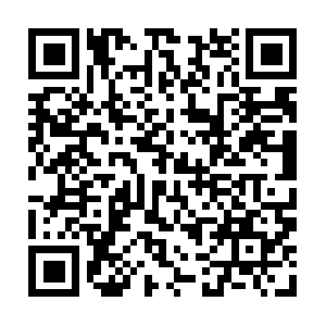 Thetennesseetransformationproject.org QR code