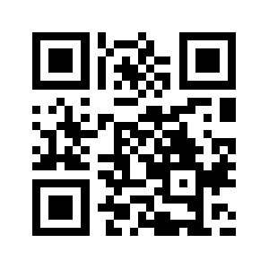 Thetintco.com QR code