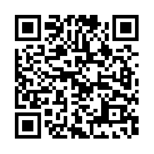 Thetravellingtranslator.com QR code