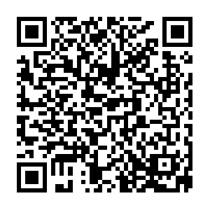 Thetruthaboutthelexusproject-thephineasphiles.com QR code