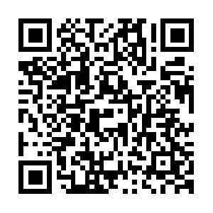 Theultimatesuccessforcollegeteachers.com QR code