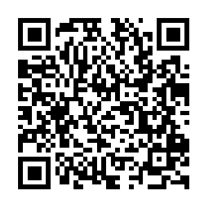 Thevirginiamarylandwashingtondcdog.com QR code