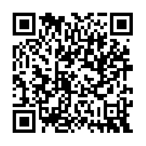 Through-the-looking-glass-photography.com QR code