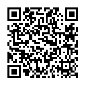 Tigervizionsustainabledevelopment.com QR code