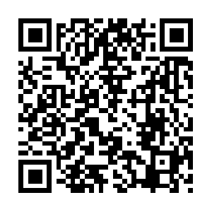 Tlayudasantojitosoaxaquenosdonasonia.com QR code