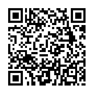 Todoformacionprofesionalintegrada.com QR code