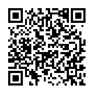 Tomsprofessionalpaintingservices.com QR code