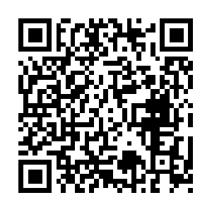 Topdanmark-alternative.test-app.link QR code