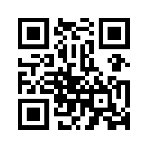 Torusefor.tk QR code