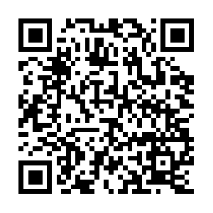 Tracker.leechers-paradise.org.nkmu.edu.tw QR code