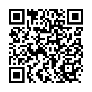 Transferantalyaluchthaven.com QR code