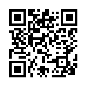 Transguy101.com QR code