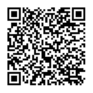 Transocks-client-3.ap-northeast-1.log.aliyuncs.com QR code