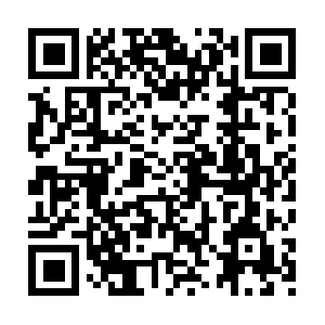 Transportationmanagementsystemssoftware.com QR code