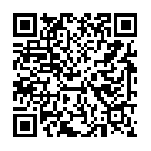 Transportationtraininginstitute.biz QR code