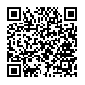 Transportesymaquinariajosezamora.com QR code