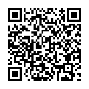 Transportmanagementconsultantservices.com QR code