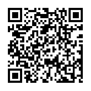 Treeservicecompanyspringfieldoh.com QR code