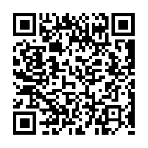 Trhhegrterfgregtehgergfzrefgregte.net QR code