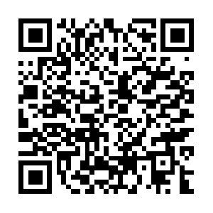 Tribego.services.gearboxsoftware.com QR code