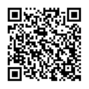 Triopodtechnologyprivatelimited.com QR code