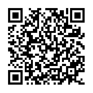 Truthandsafetypolygraphservices.com QR code