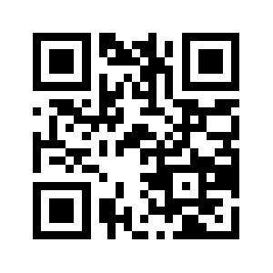 Tt9g.com QR code