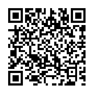 Tterapeutadelcomportamentociofilo.com QR code