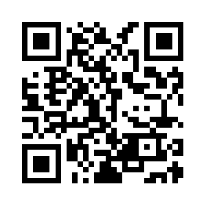 Tunnelcollapses.com QR code