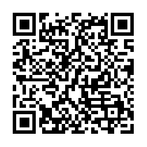 Txconservativeleadershipcouncil.com QR code