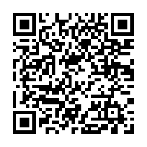 Ua.dob.sibl.support-intelligence.net QR code